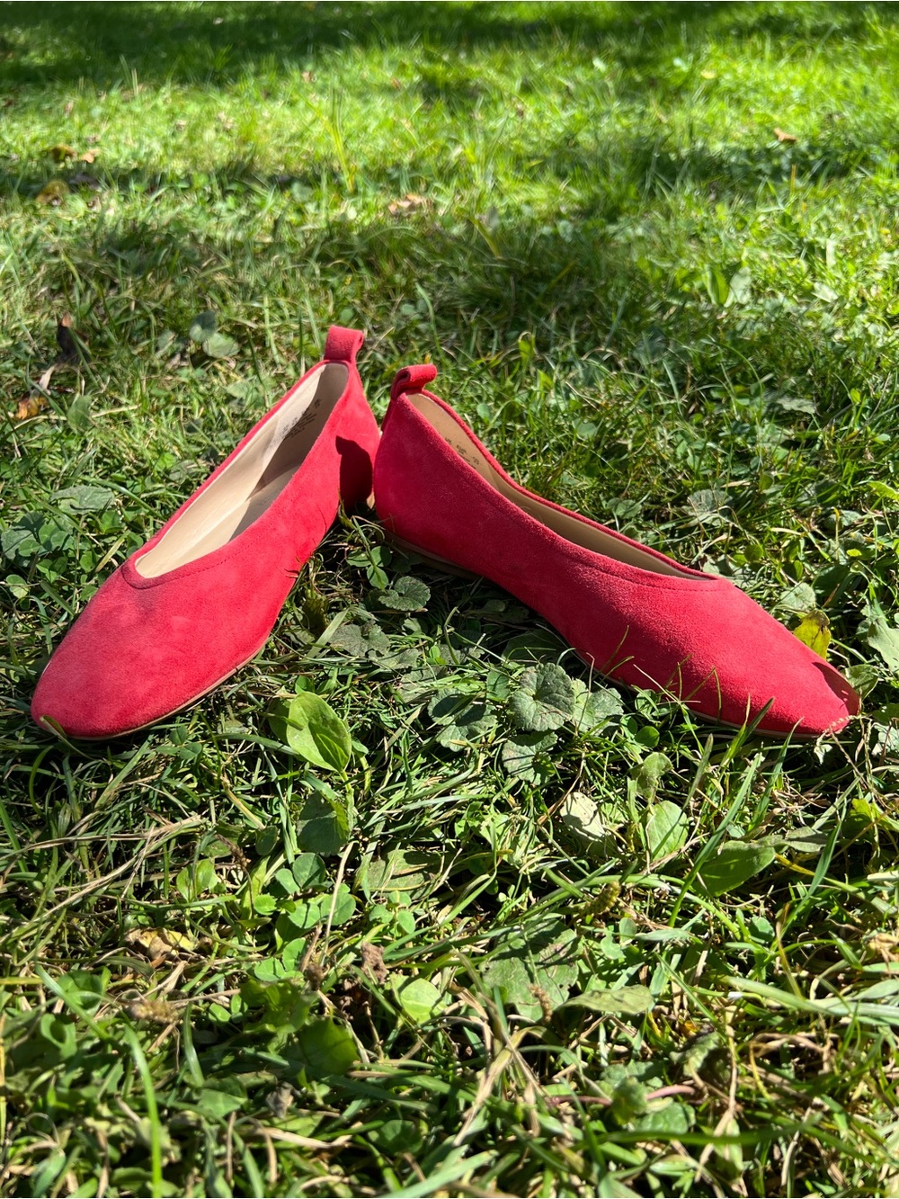 27 Edit Naturalizer Carla Ballet Flat